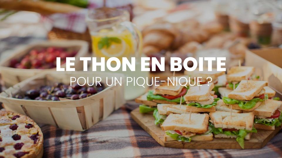 Le thon en boîte est-il adapté aux pique-niques ?