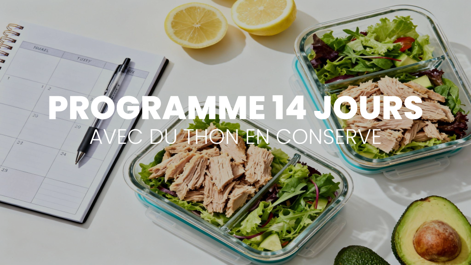Programme 14 Jours avec le Thon : Idées de Menus pour une Alimentation Structurée